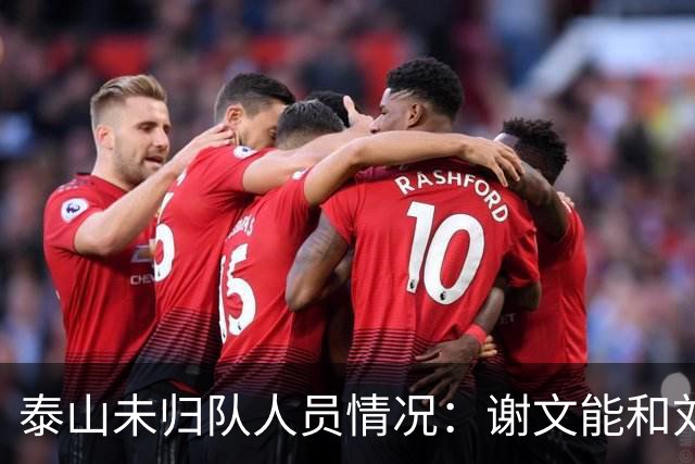 泰山未归队人员情况：谢文能和刘洋随国足备战，6名小将随U23集训